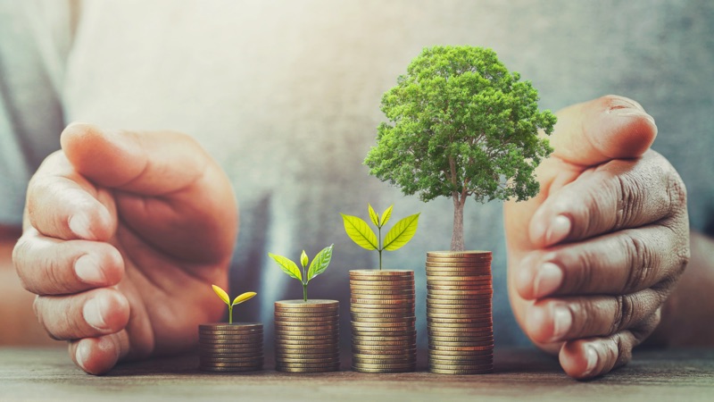 BSLA Invertir en Proyectos de Energía Solar Fotovoltaica vs. Wall Street